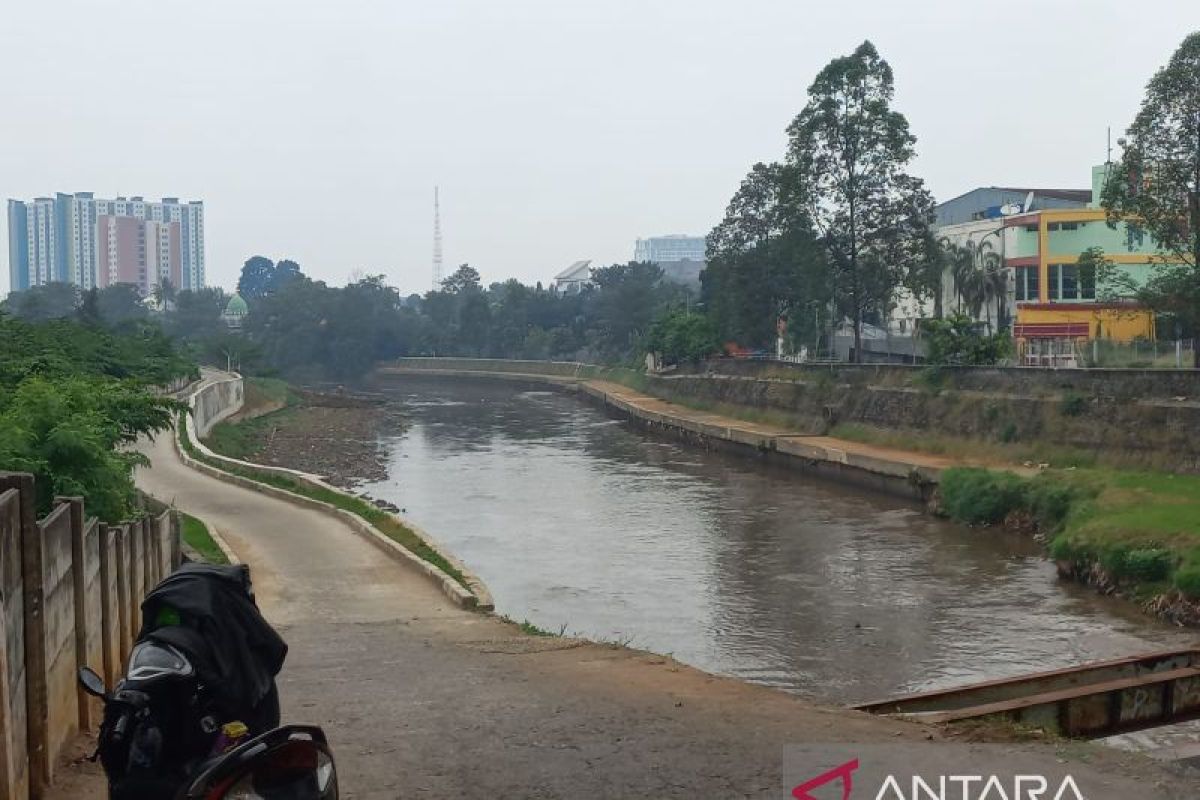 Lotus of Ciliwung River --- MAT PECI