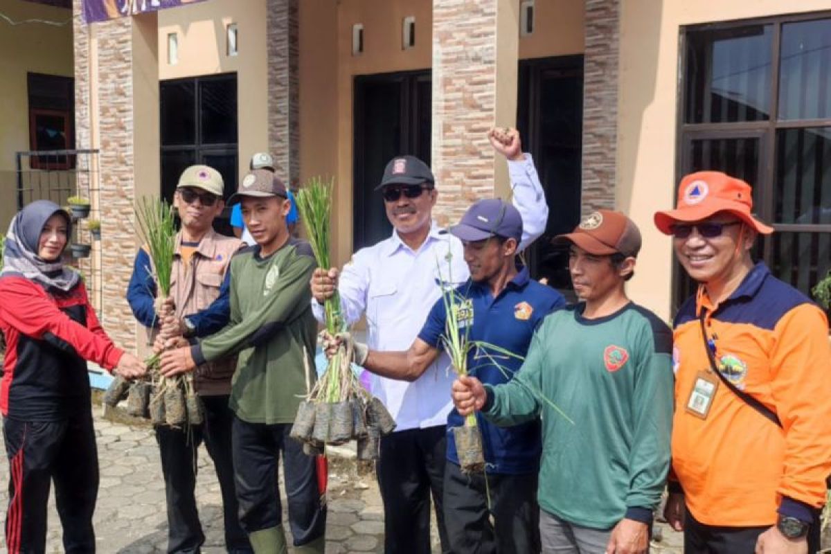 Cegah longsor, BPBD Temanggung galakkan tanam rumput vetiver