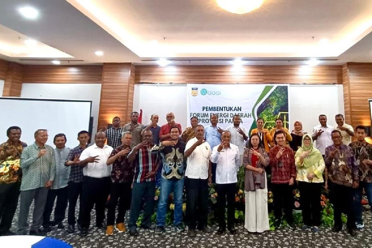 Pemprov Papua segera wujudkan investasi energi bersih