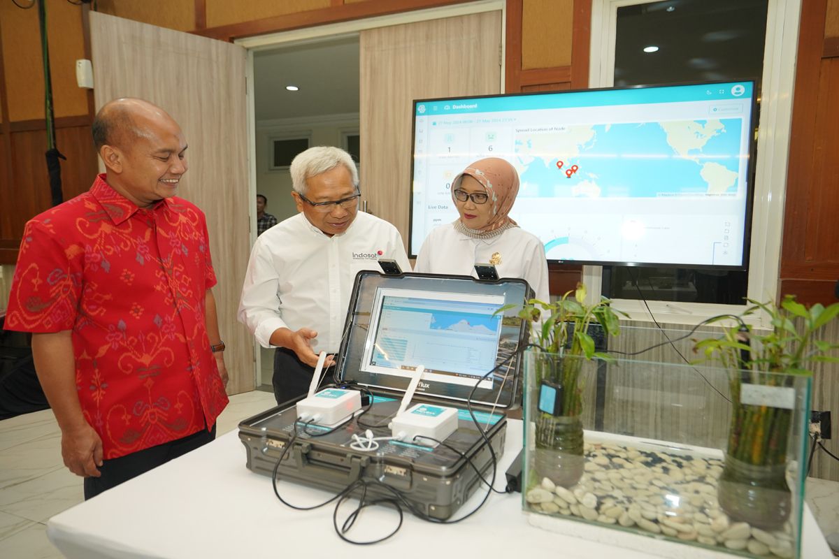 Indosat gandeng Undip wujudkan digitalisasi konservasi mangrove gunakan IoT