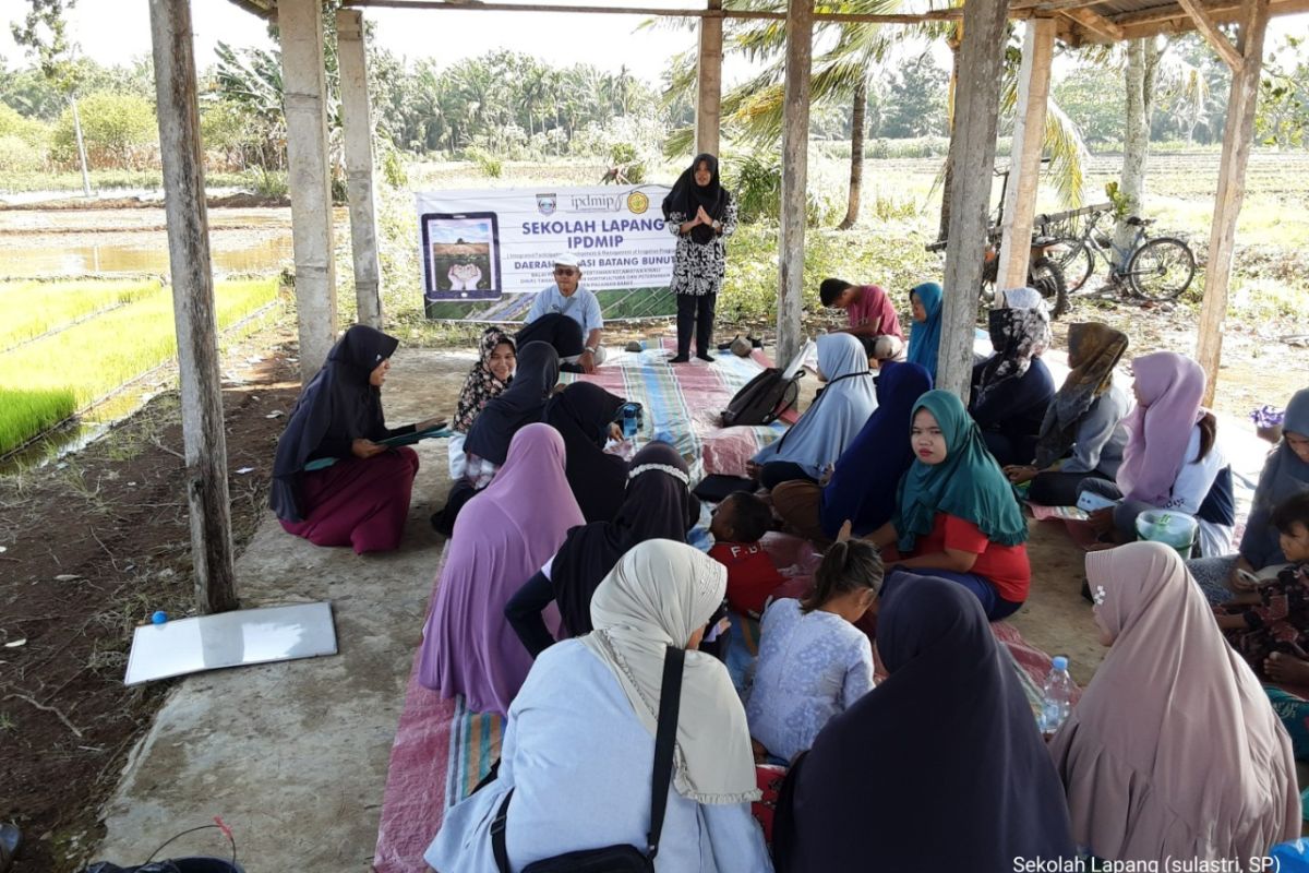 Pemkab Pasaman Barat berdayakan penyuluh pertanian tingkatkan produksi