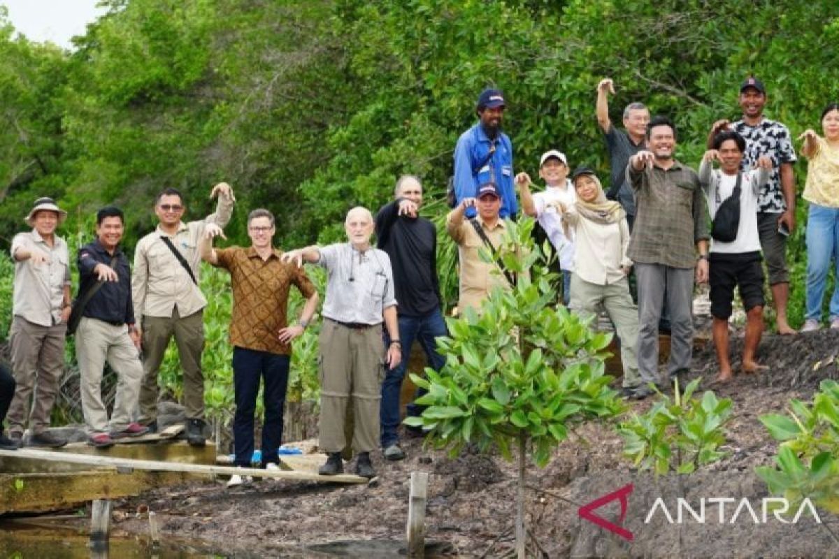 Pemkab Bulungan-Kedutaan Kanada kerja sama program konservasi mangrove