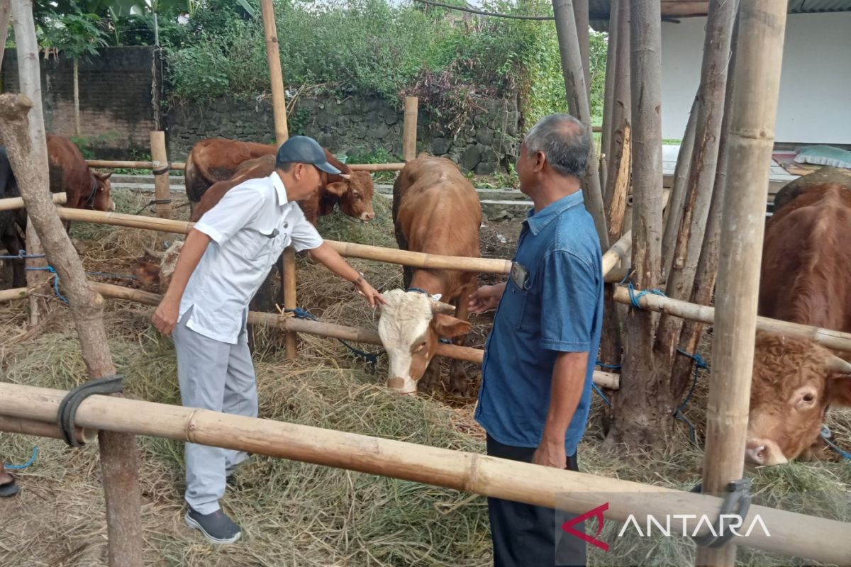 DKPP Bantul pastikan ternak hewan kurban dalam kondisi sehat