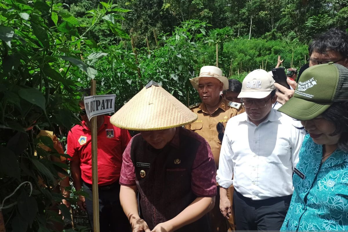 BI dan Pemkab Minahasa tingkatkan produksi Barito jaga inflasi