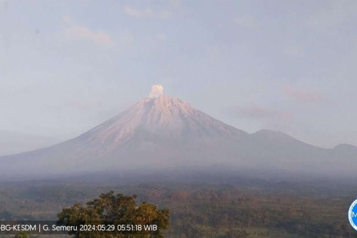 Gunung Semeru kembali erupsi pada Rabu pagi