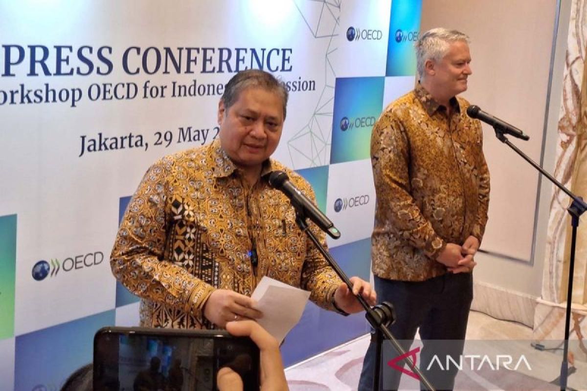 Indonesia's OECD membership could boosts investment: Minister