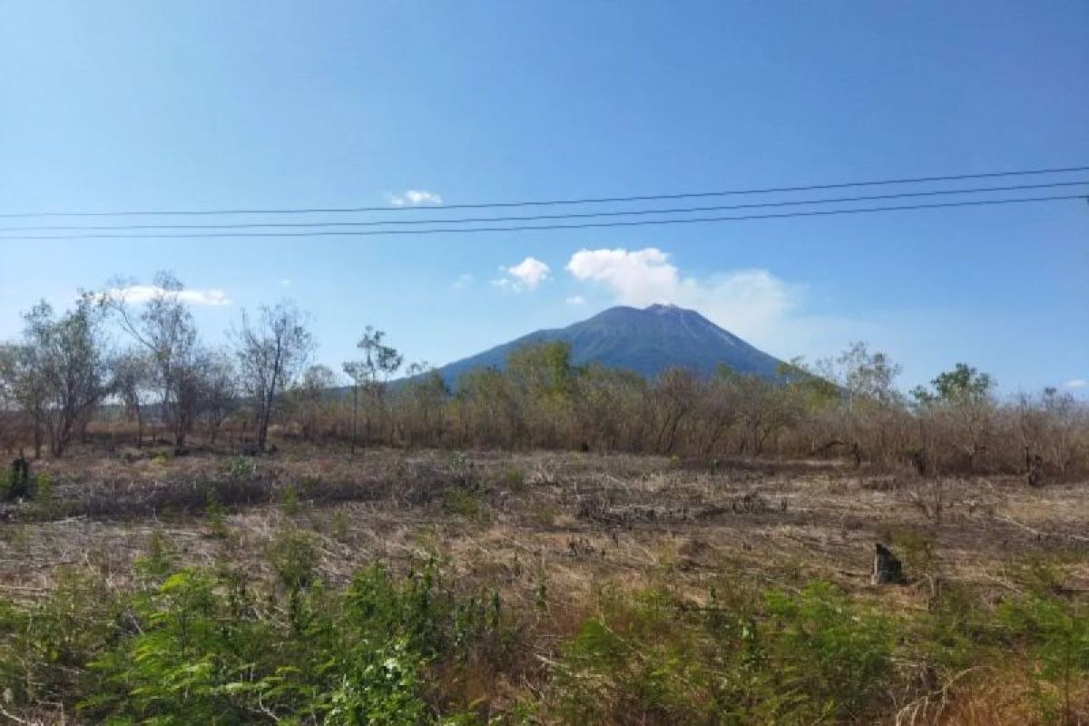 Lembata siaga darurat kekeringan dan karhutla