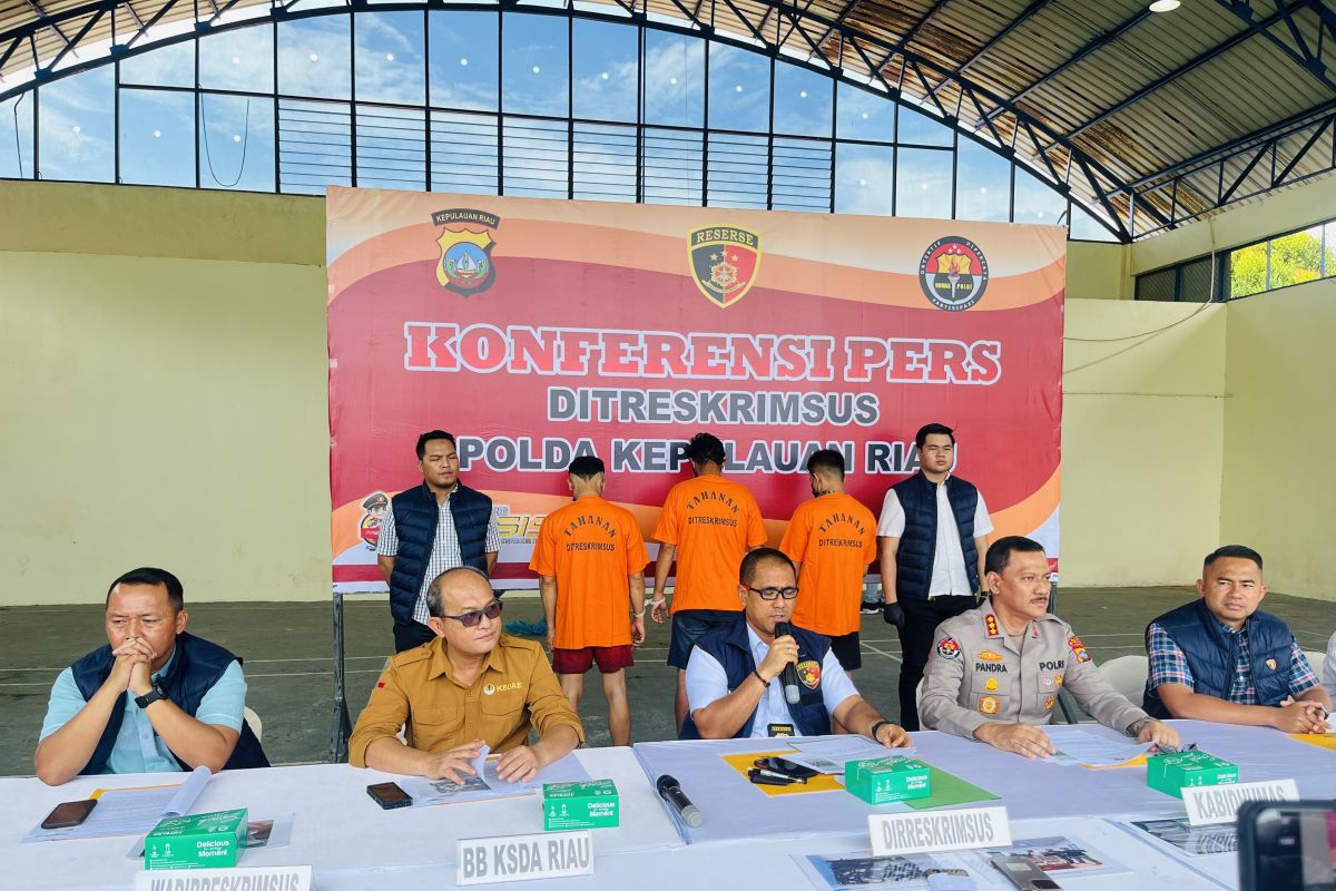 Polda Kepri gagalkan penyelundupan 1.500 bibit benih lobster