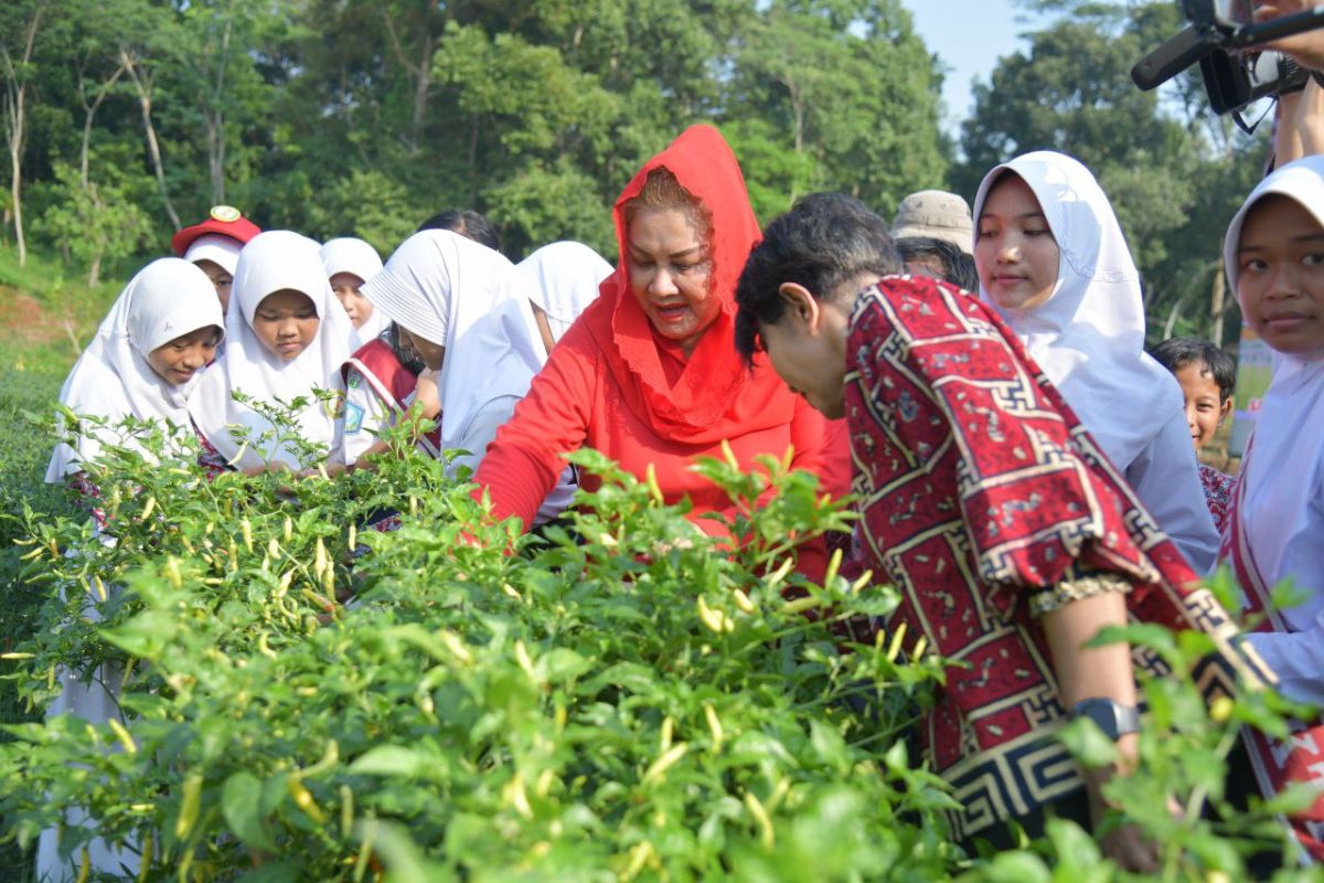 Wali Kota Semarang dorong anak muda jadi petani  milenial