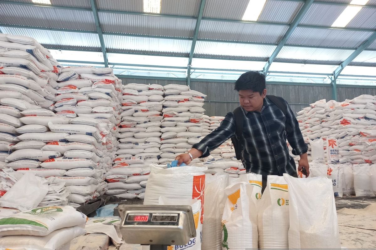 Stok beras di Sulteng hadapi Idul Adha capai 24 ribu ton