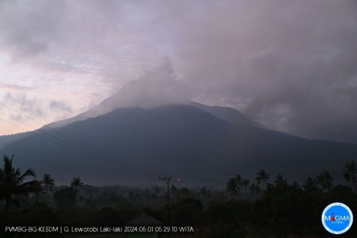 Gunung Lewotobi Laki-Laki-NTT erupsi