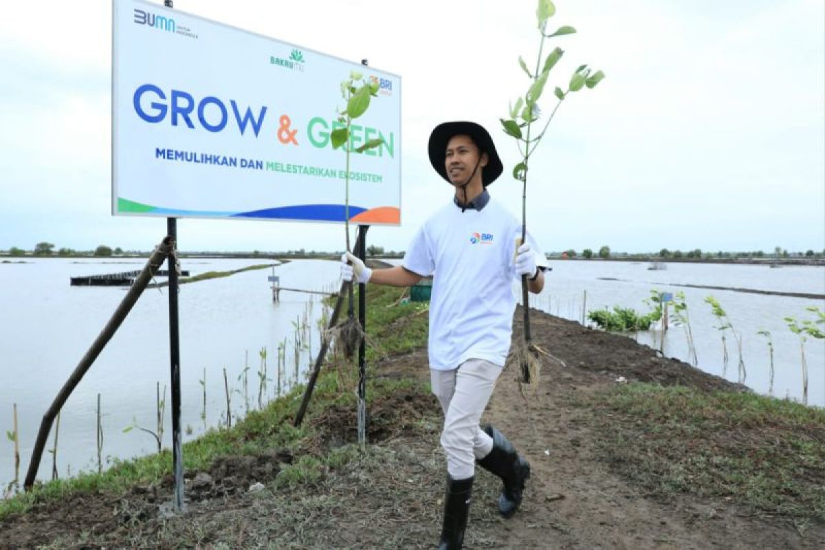 BRI masuk dalam daftar CNBC Indonesia Green Business Ratings 2024