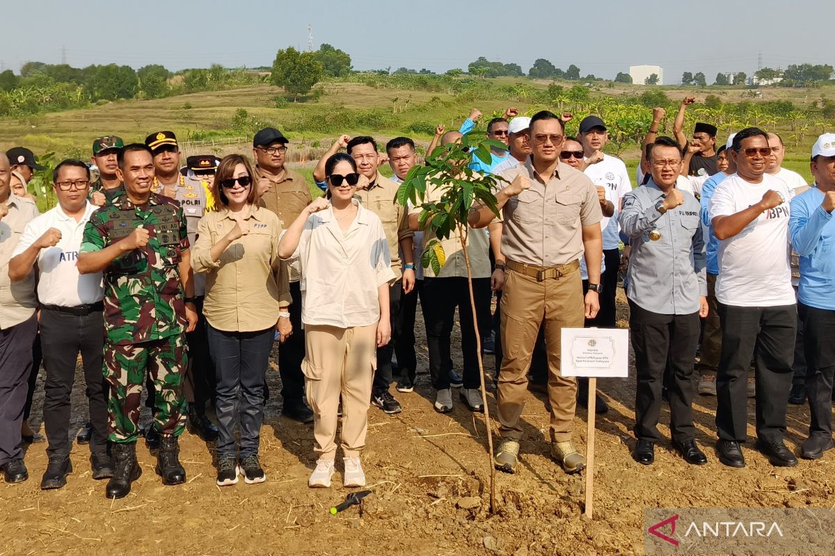 Kementerian ATR/BPN tanam 100 ribu pohon peringati Hari Lingkungan Hidup Sedunia