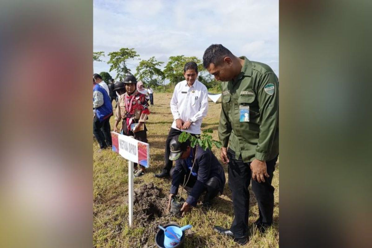 DPRD Wajo tanam pohon peringati Hari Lingkungan Dunia