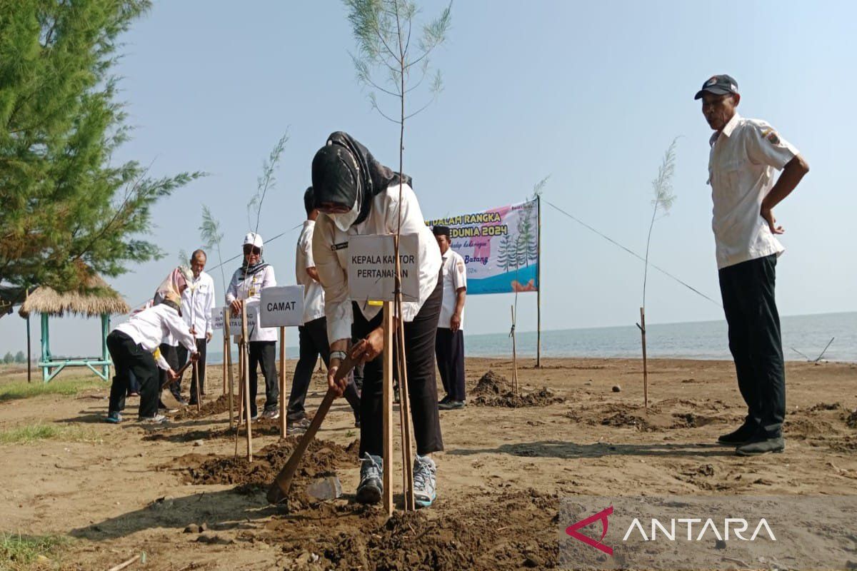 BPN Batang tanam 100 bibit pohon cemara di Pantai Kuripan