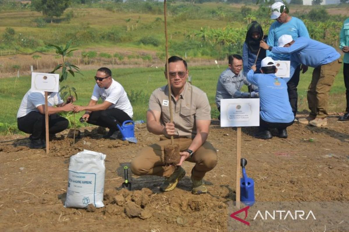 AHY pimpin penanaman serentak 100.000 pohon peringati Hari Lingkungan Hidup