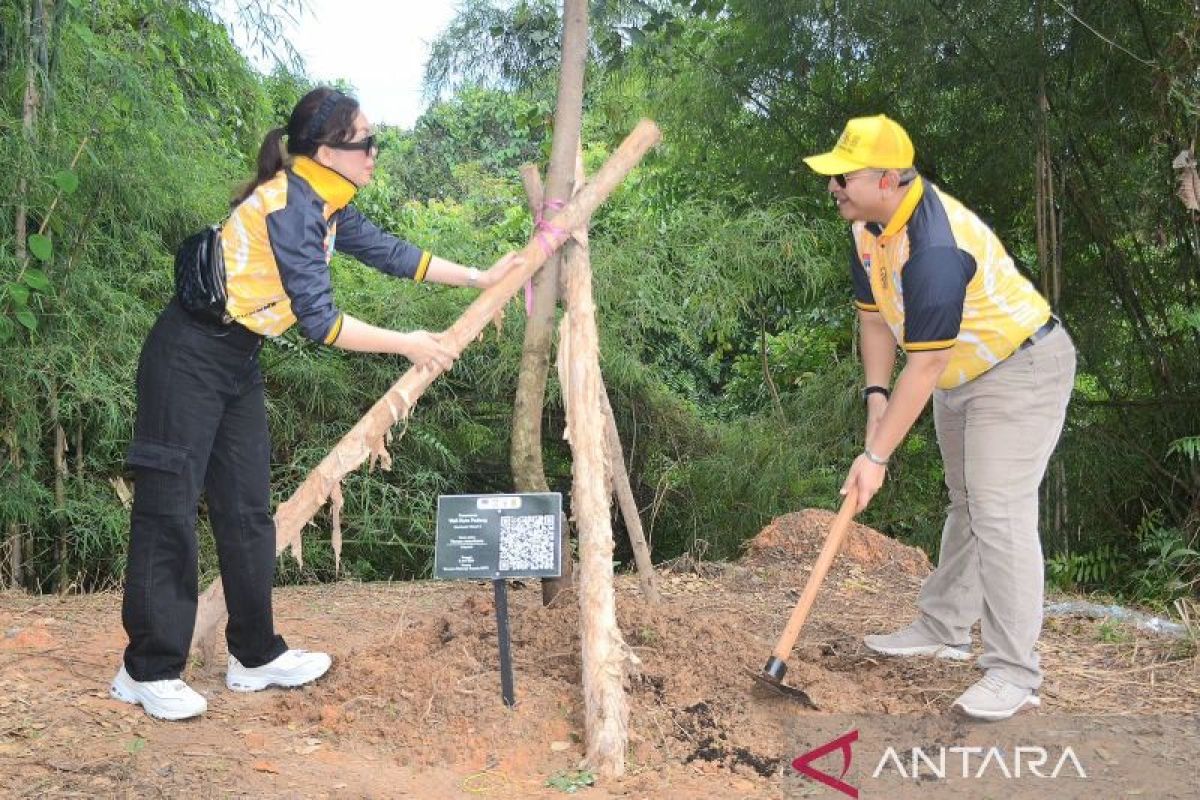 Pj Wako Andree Algamar Tanam Pohon Alpukat di Kebun APEKSI Balikpapan