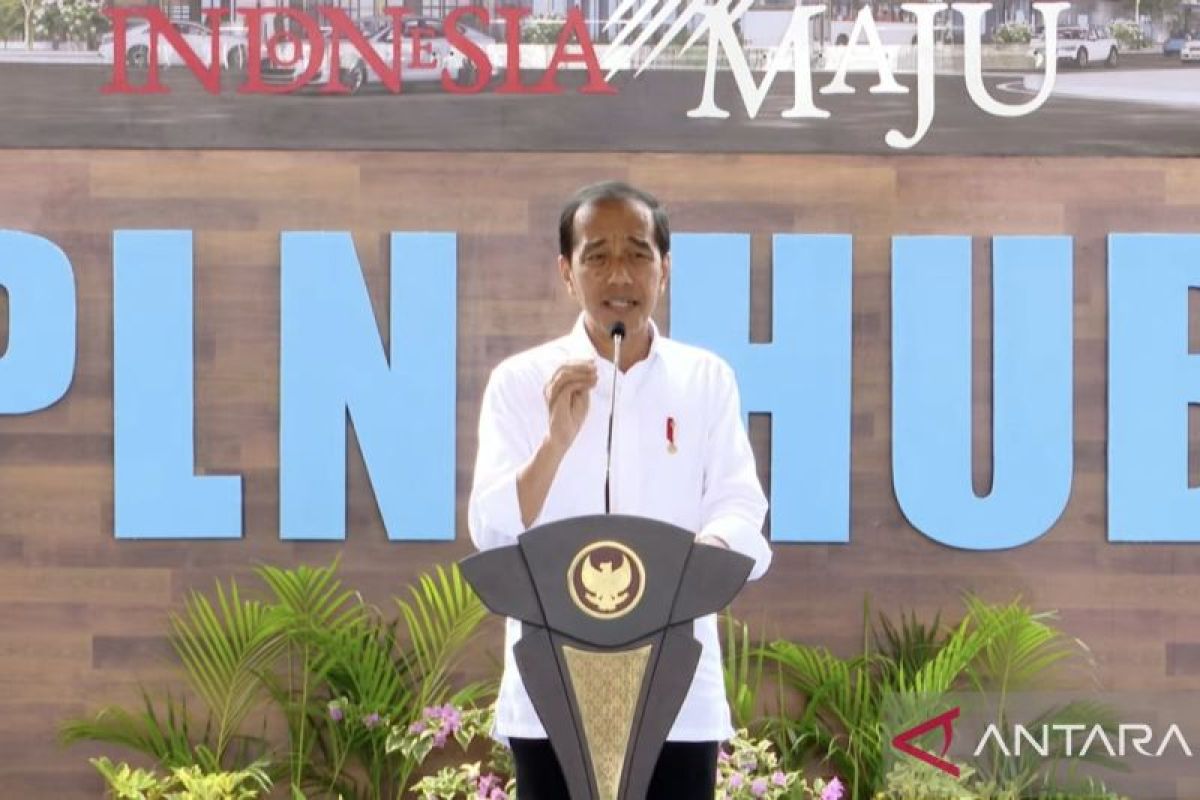 Jokowi minta PLN tangkap investasi lewat peluang sumber energi hijau