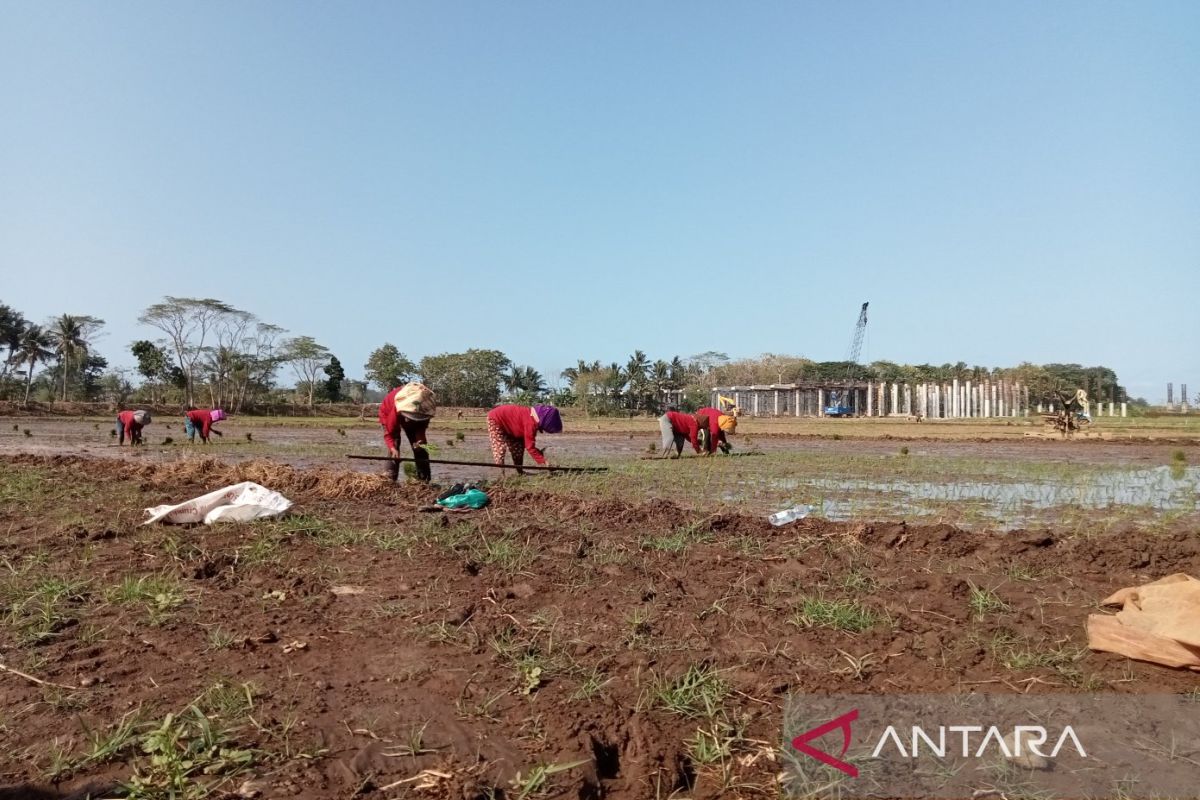 Bantul menyiapkan 18 titik sumur untuk pengairan sawah tepi Sungai Progo