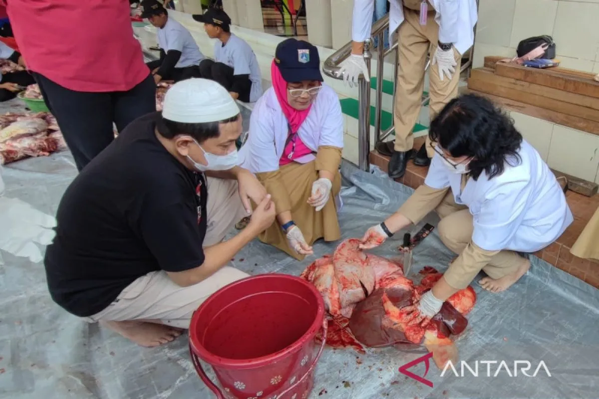 Hilangkan bau prengus, segera kuliti kambing kurban