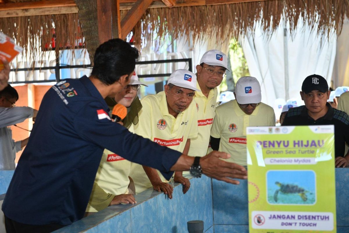 Konservasi penyu, Pertamina dan TCC Nipah NTB ukir prestasi di Kalpataru 2024