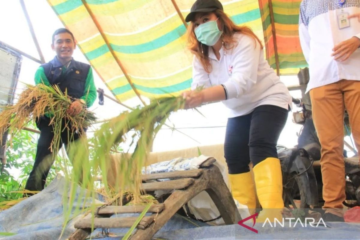 Jelang Idul Adha 1445 H, Jakbar pantau keamanan pangan di sejumlah pasar