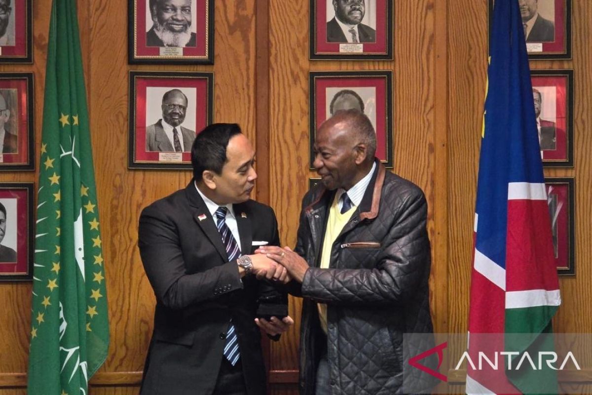 BKSAP DPR inisiasi hadirnya Indonesia-Africa Parliamentary Partnership