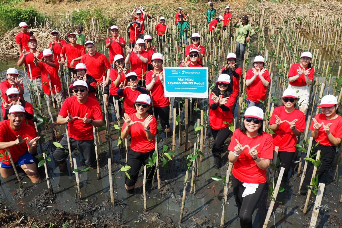 Yayasan WINGS Peduli tanam ratusan pohon mangrove