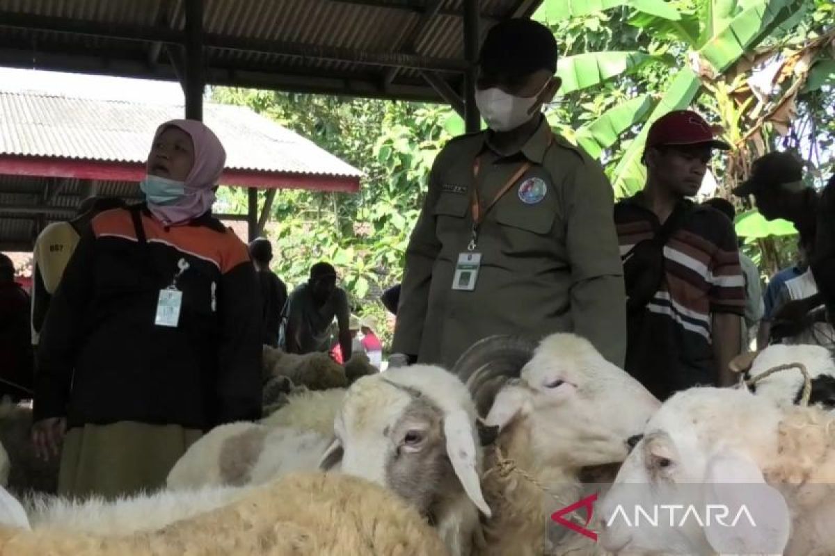 Pemkab Temanggung jamin hewan kurban sehat