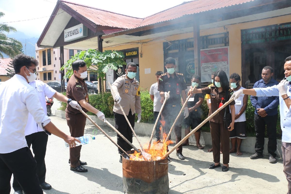 Polres Jayapura musnahkan dua kilogram ganja dan minuman beralkohol