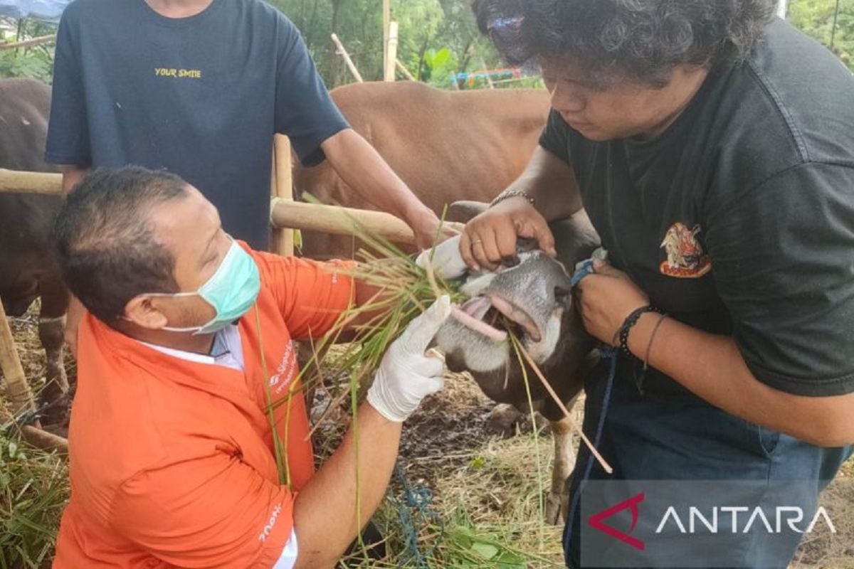 Berkurban ramah lingkungan tanpa mengorbankan keselamatan Bumi