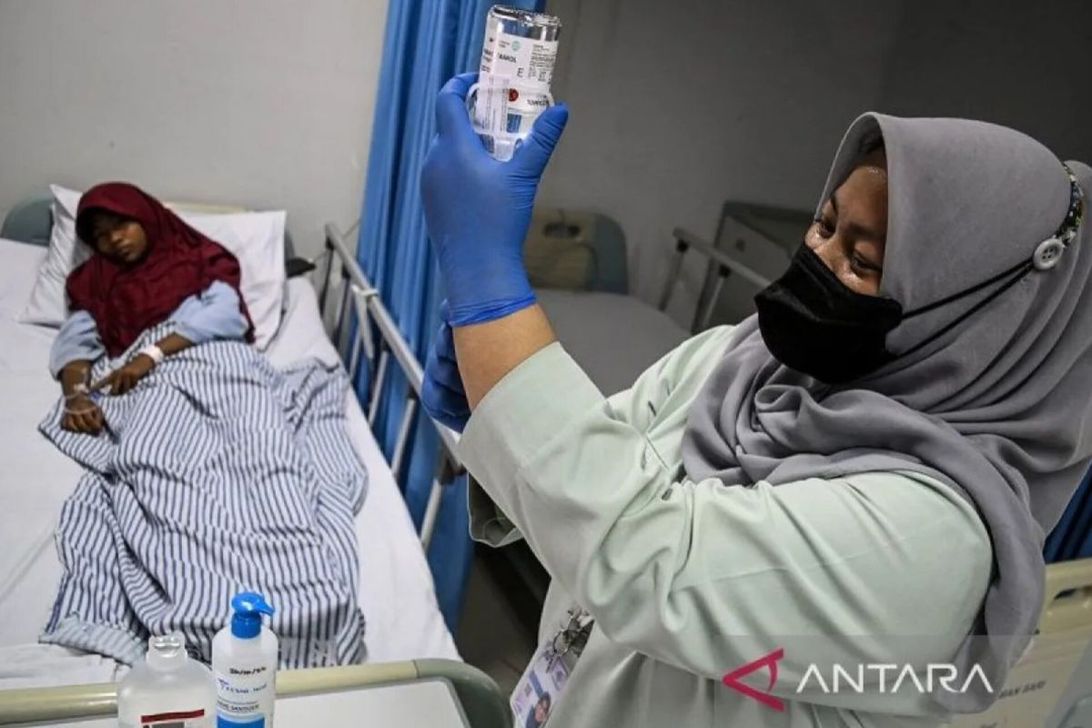 Indonesia records 799 dengue deaths as of week 23, cases top 2023