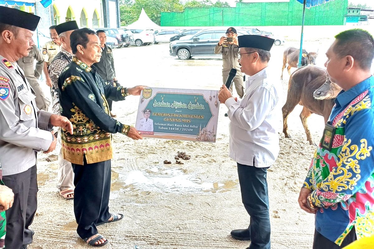 Pemkab Gumas bagikan 26 ekor sapi kurban Idul Adha