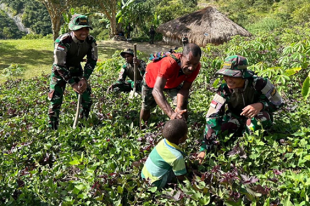 Satgas Yonif 753/AVT membantu warga Kalome kelola kebun secara rajin