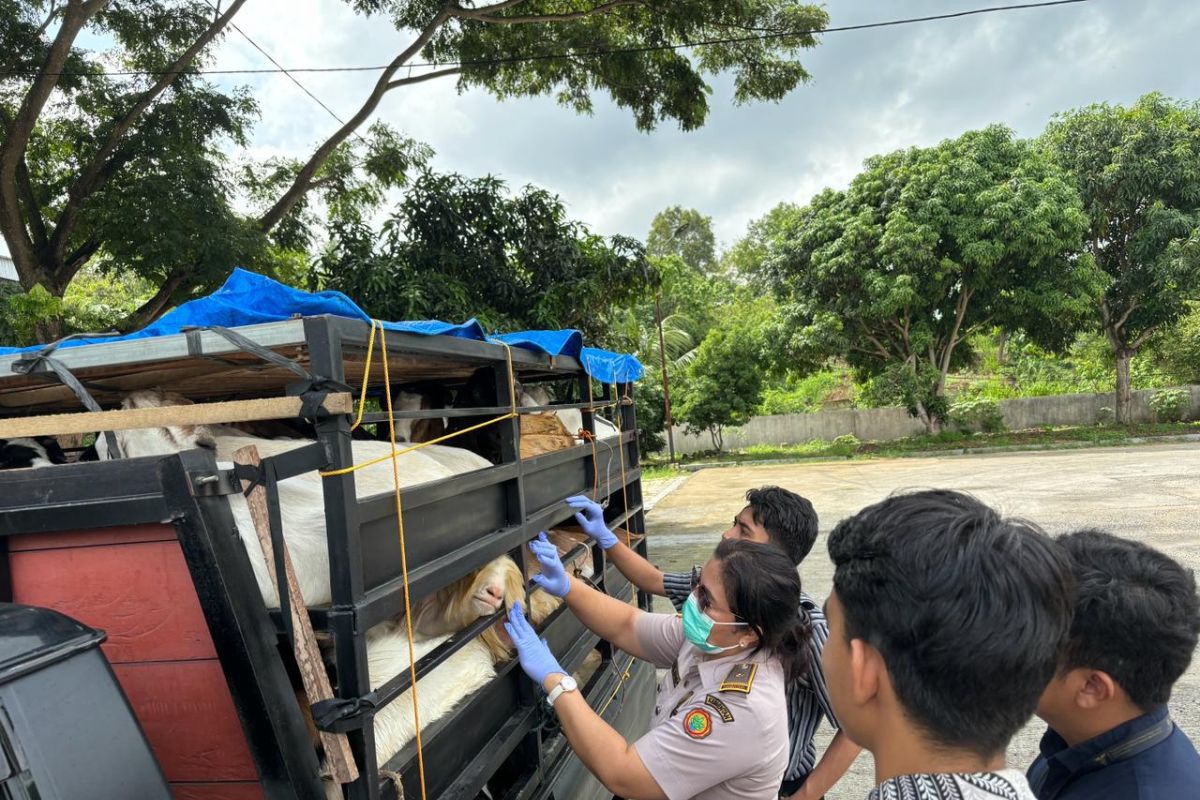 Jelang Idul Adha, Balai Karantina Lampung perketat lalulintas hewan kurban