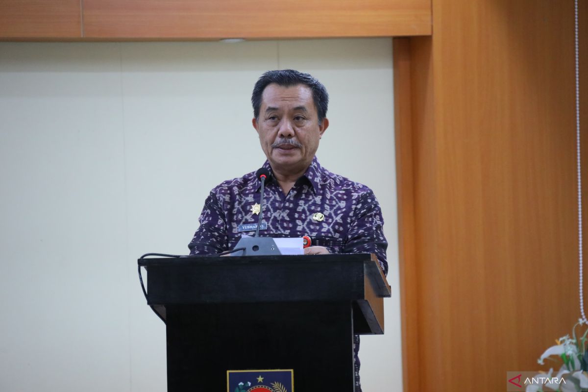 BSKDN imbau daerah berinovasi tanpa ciptakan aplikasi baru