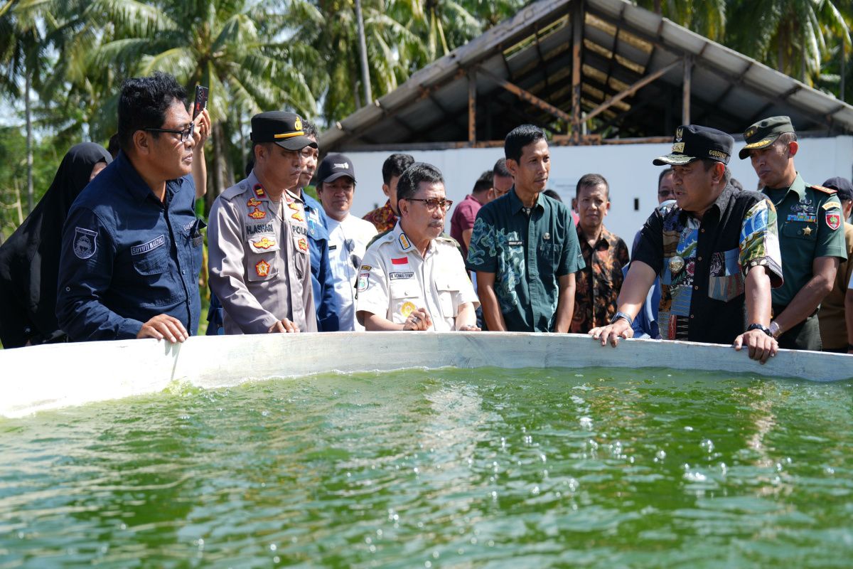 Penjabat Gubernur berkomitmen memperkuat sektor perikanan di Sulbar