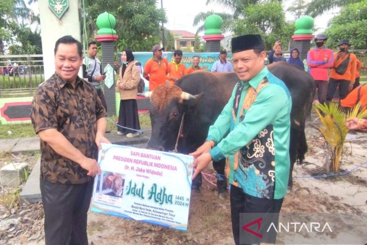 Kotim dapat bantuan 151 sapi kurban