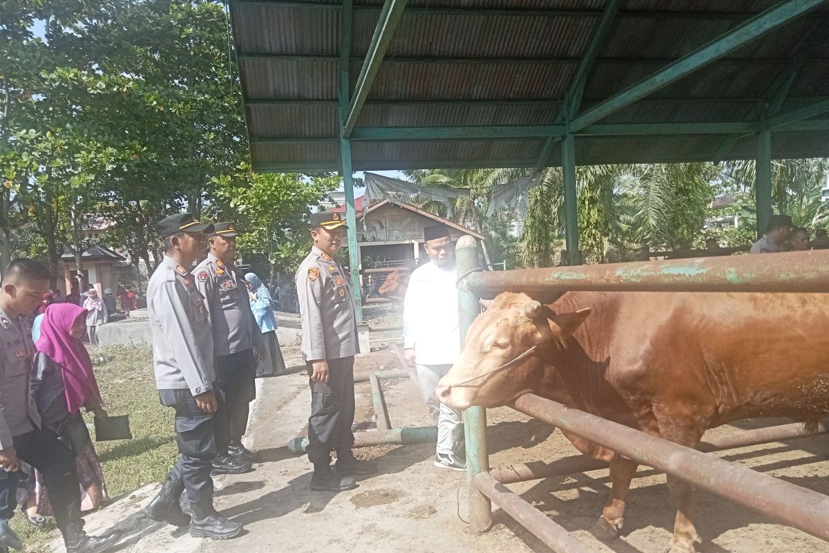 Pemkab Pasaman Barat jamin kesehatan hewan kurban Idul Adha 1445 H