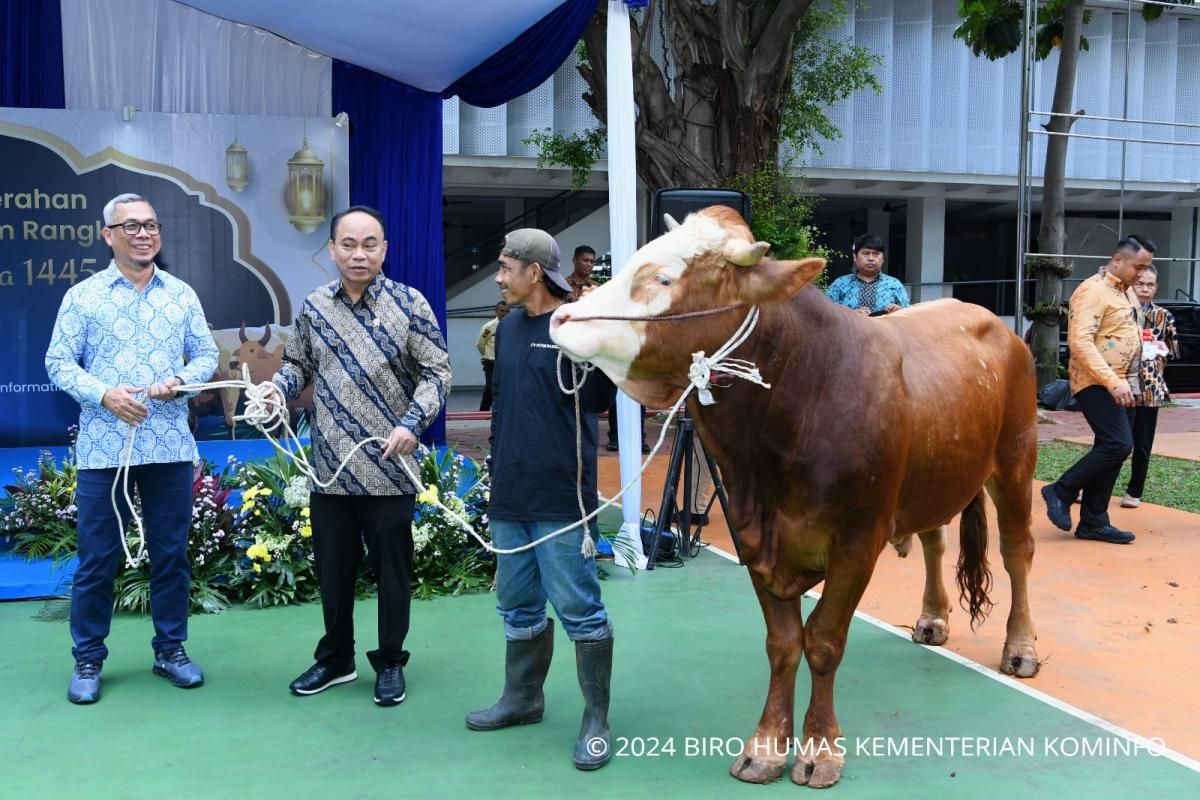 Idul Adha momen untuk kita saling berbagi kebahagiaan