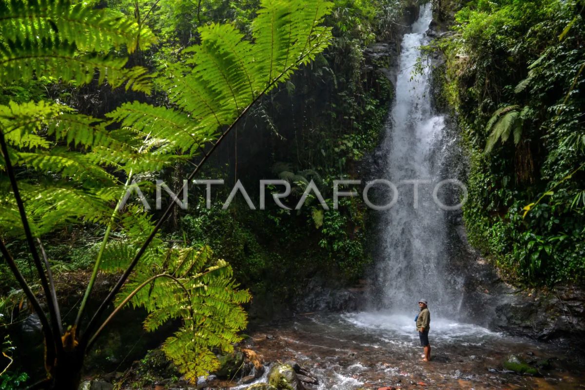 Sejarah merayakan keindahan alam melalui Hari Air Terjun Internasional