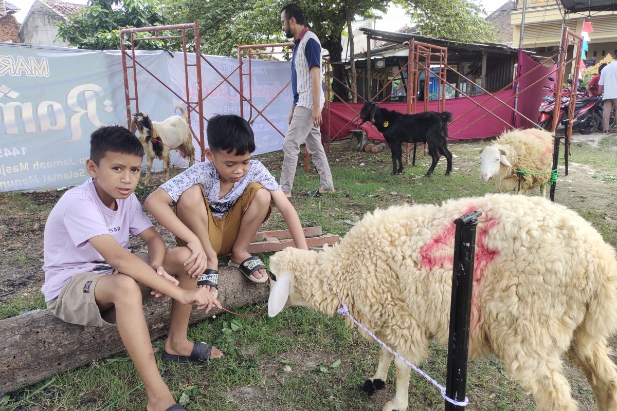 NU Bandarlampung ajak warga salurkan daging ke daerah minim hewan kurban