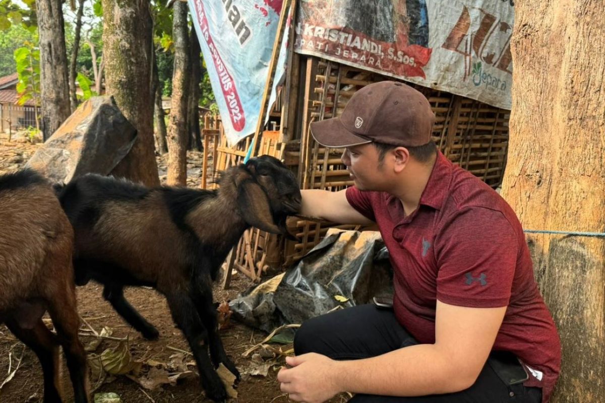 Masyarakat  Jepara diajak potong hewan kurban di RPH