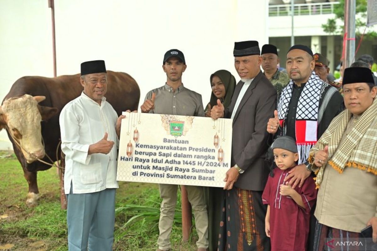 Gubernur Mahyeldi Serahkan Sapi Qurban Presiden RI serta 78 Ekor Sapi Qurban ASN dan BUMD