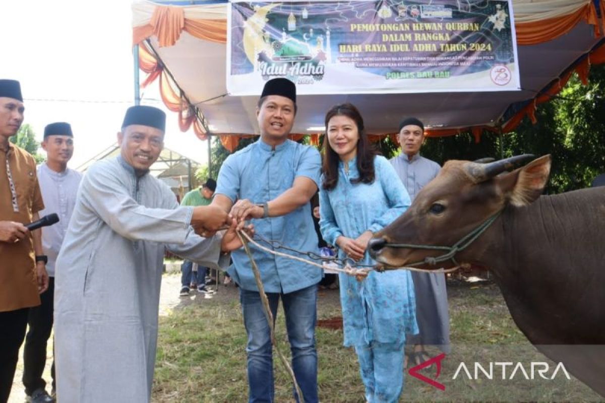 Polres Baubau kurban 25 ekor sapi Idul Adha 1445 Hijriah