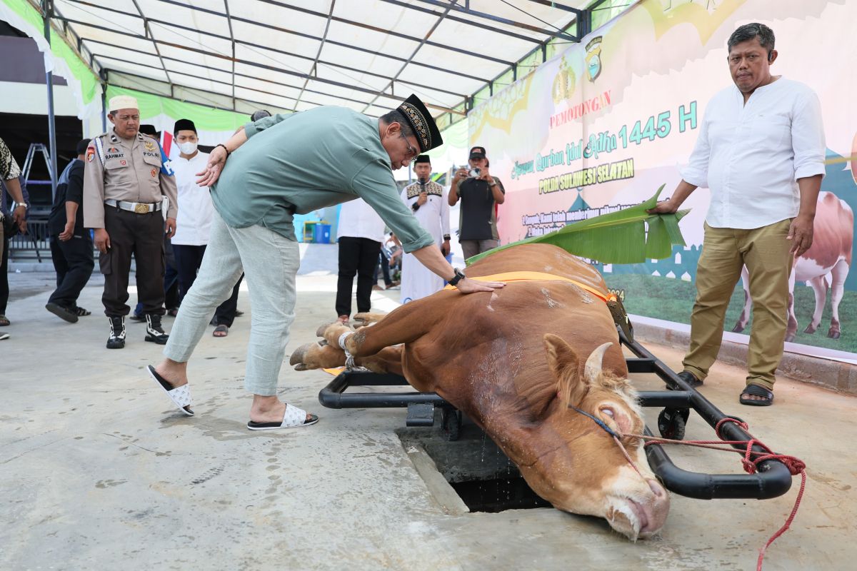 Polda Sulsel sembelih sebanyak 891 hewan kurban pada Idul Adha