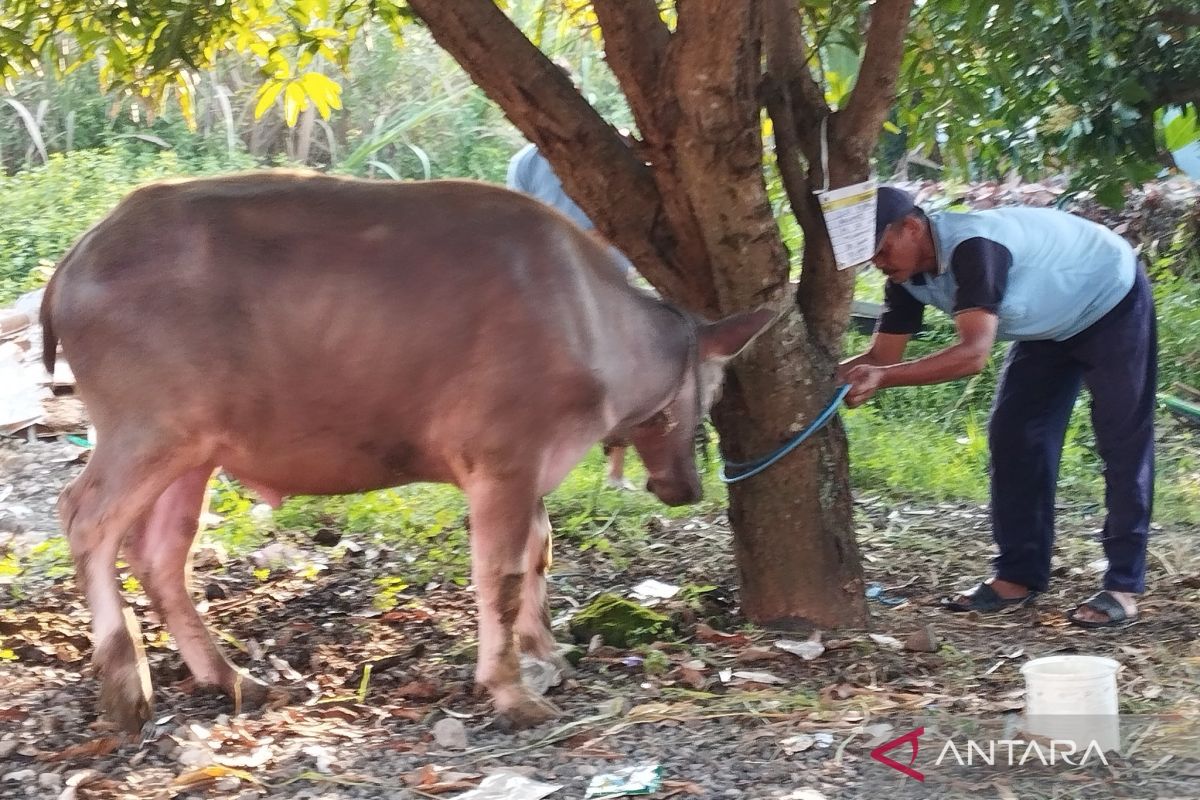 Cara masjid di Kudus merawat toleransi saat Idul Adha