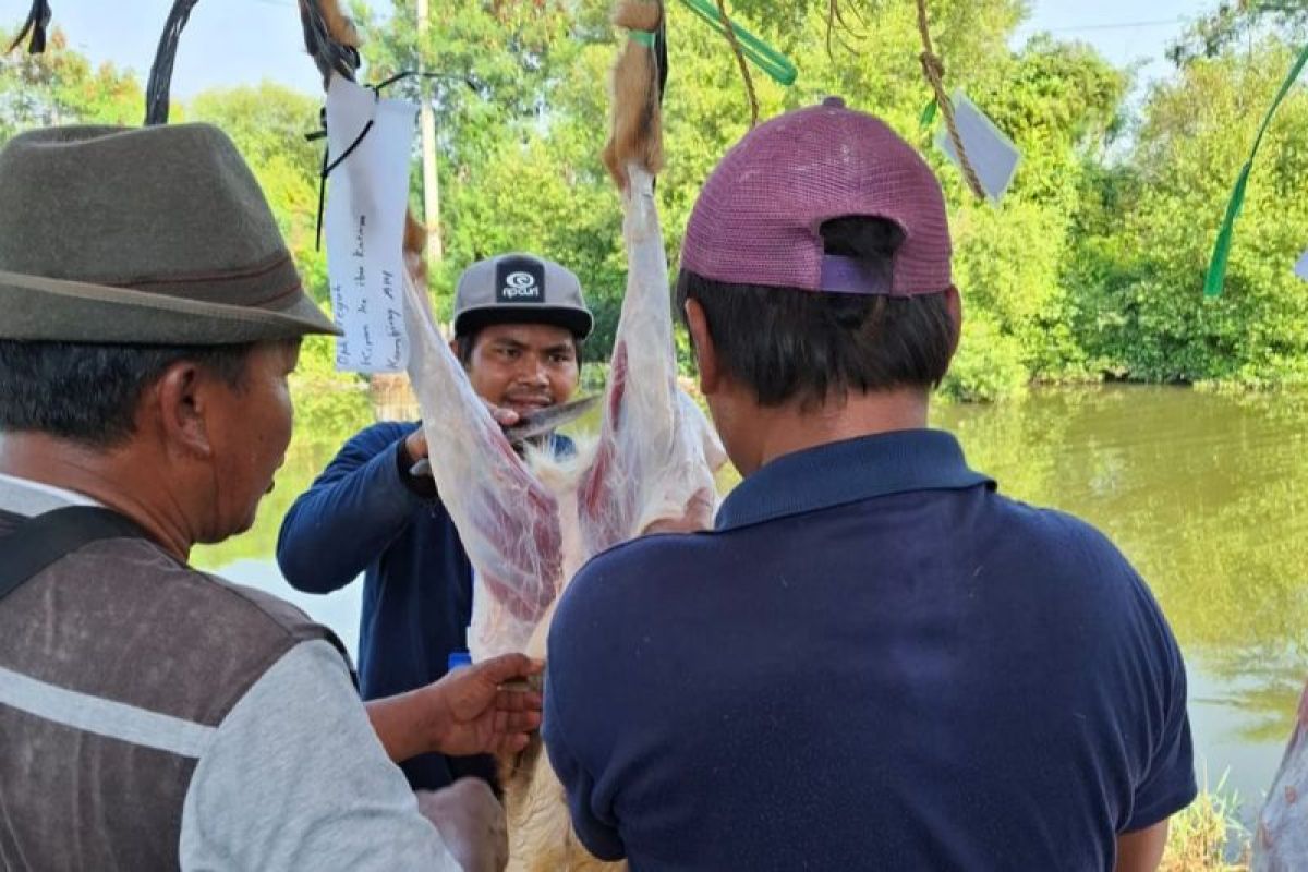 ANTARA Biro Jateng sumbang kambing untuk kurban