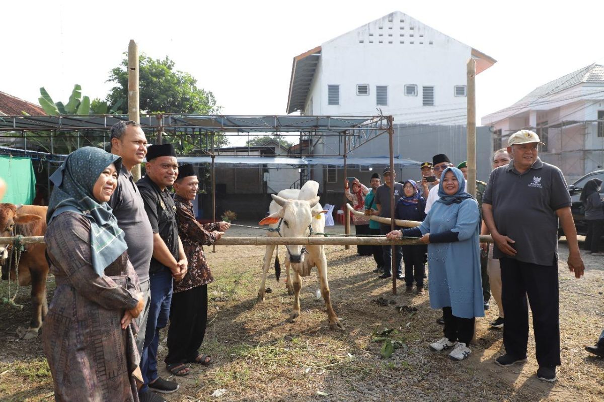 Pemkab-Baznas Sleman menyerahkan bantuan hewan kurban untuk masyarakat