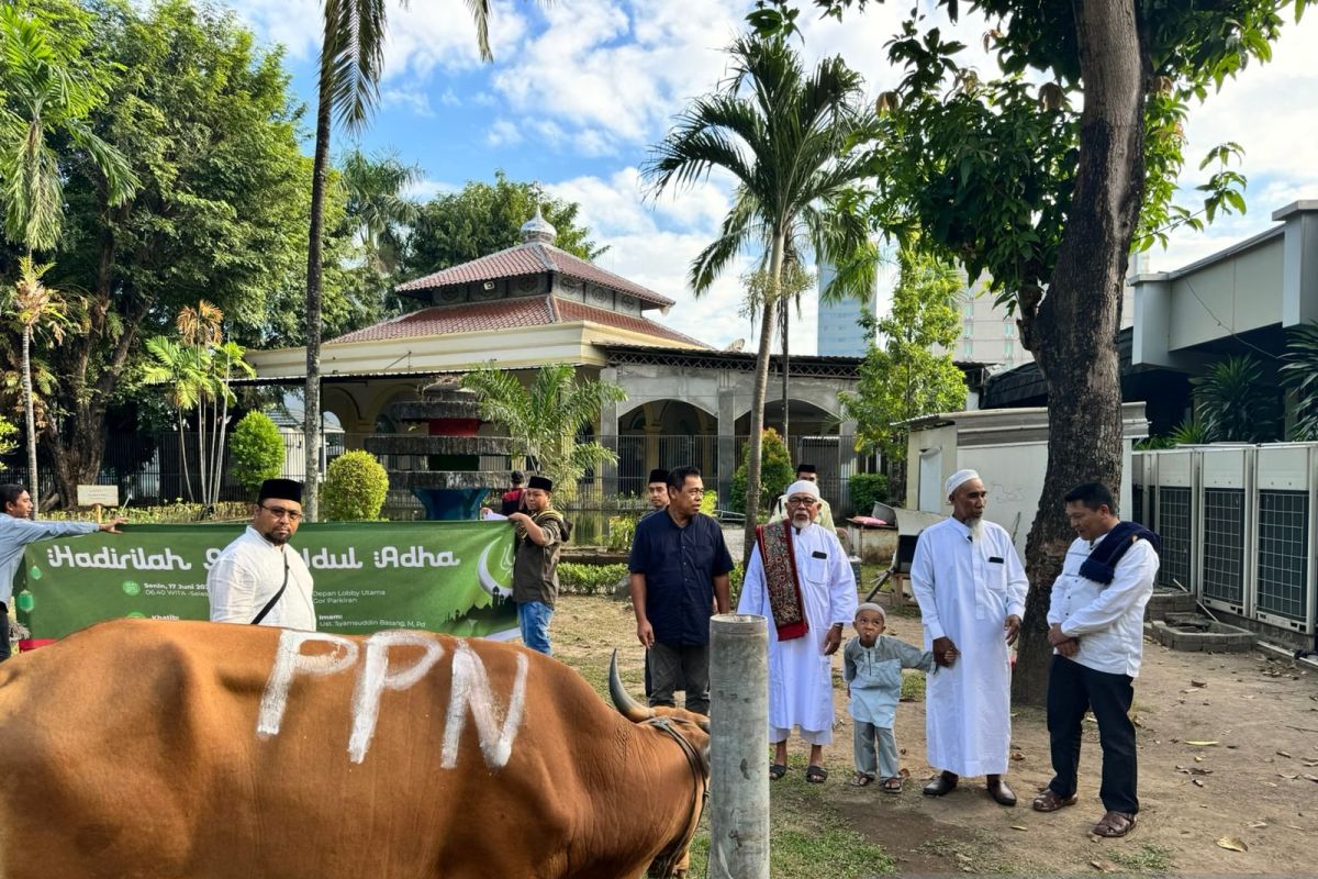 PT Pertamina Patra Niaga Sulawesi bagikan daging kurban 88 sapi-48 kambing